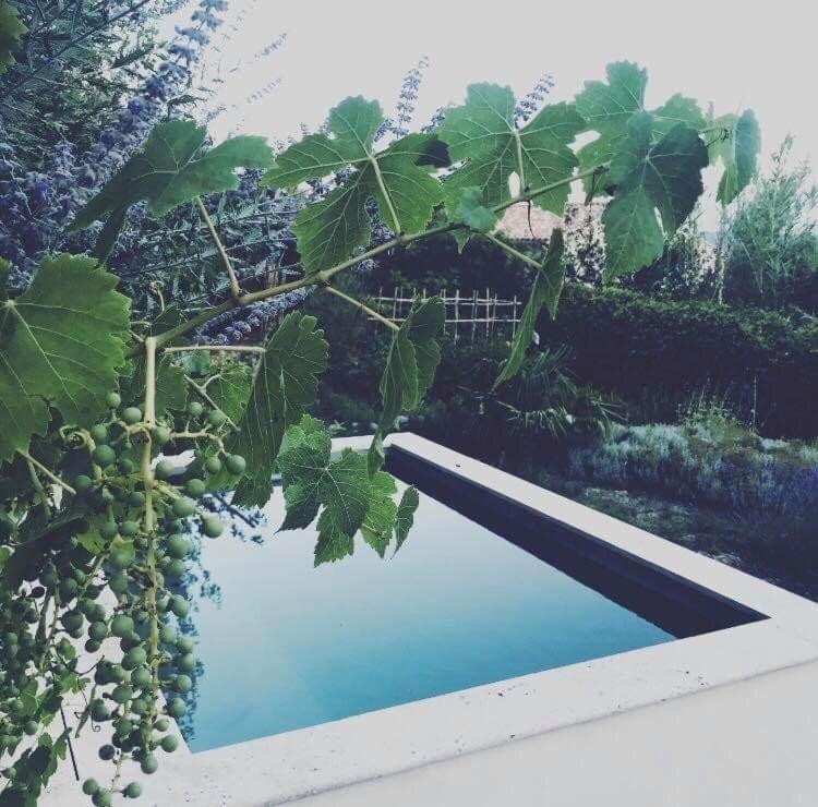 Вилла Domaine Fontaine Visan Экстерьер фото